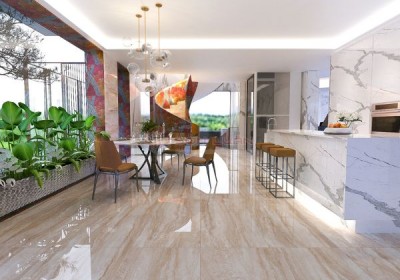 Gạch Ốp Lát APODIO 61182022
